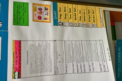 WP_20170223_09_52_03_Pro