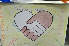 WP_20170223_09_52_12_Pro