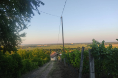 297466285_1918609054994391_2091201243381711772_n